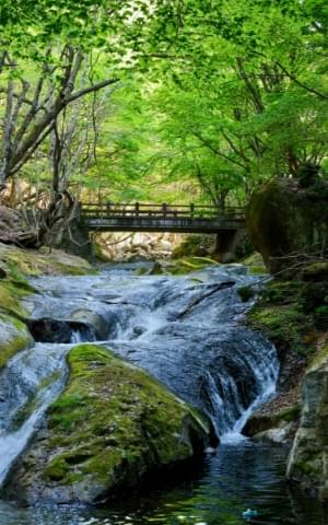 Soil and water quality surveys