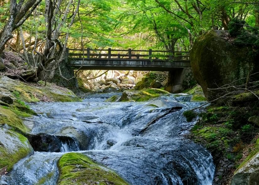 Soil and Water Quality Environmental Survey